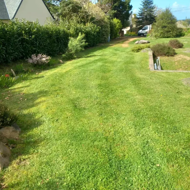 Tonte de pelouse, Perros-Guirec, Trégastel