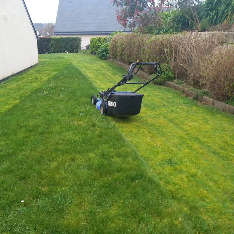 Entretien de pelouse