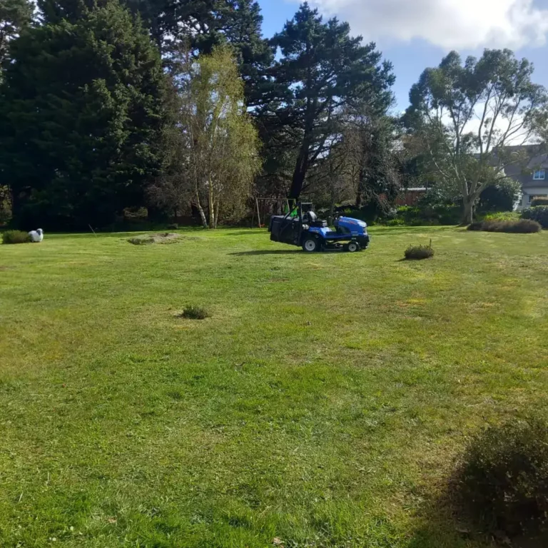 Contrat annuel entretien de jardin Côtes d'Armor